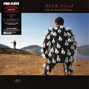 Pink Floyd - Delicate Sound Of Thunder (1988) LP Pink Floyd - Delicate Sound Of Thunder (1988) LP